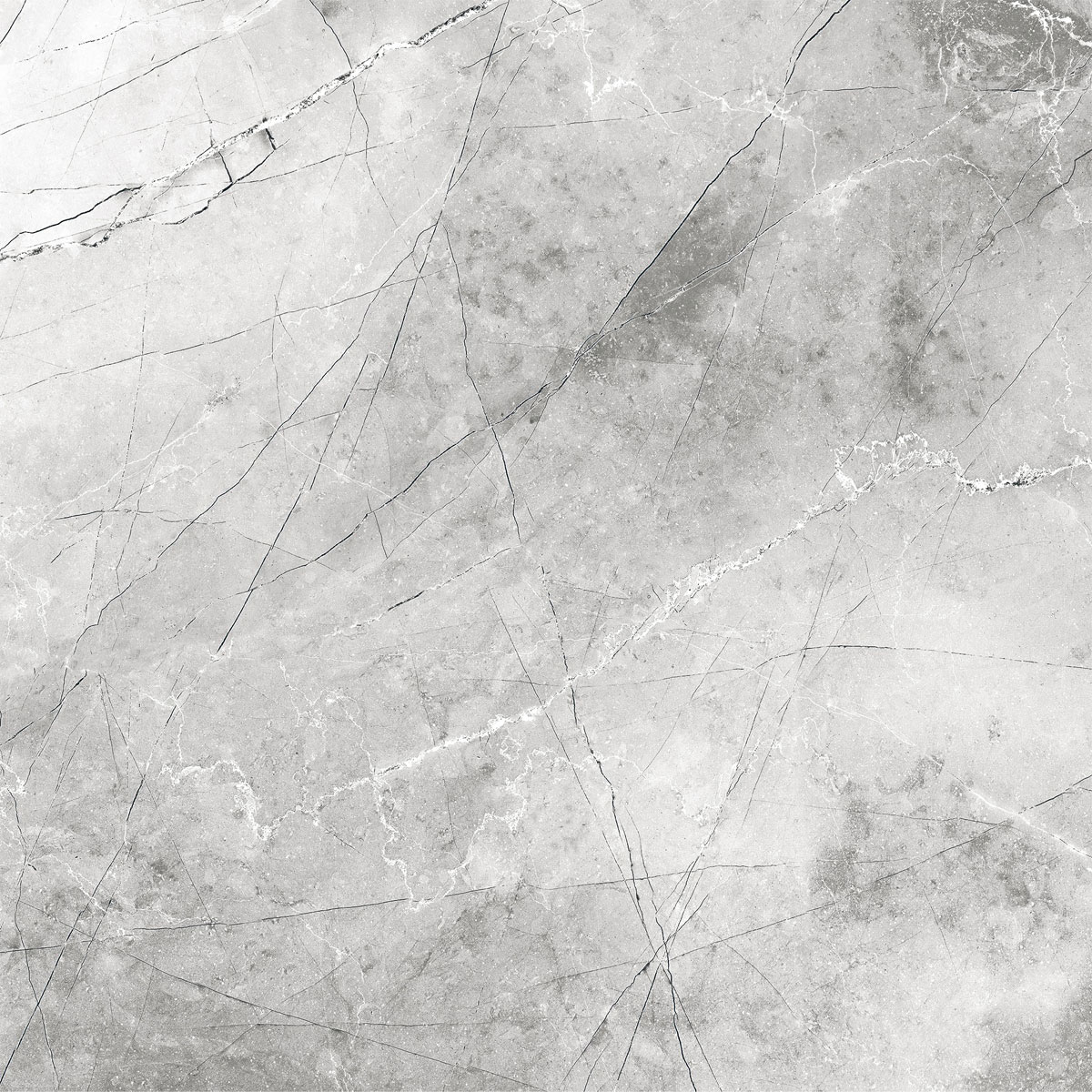 Feinsteinzeugfliese Pulpa Grey 60 x 60 cm Bild 1