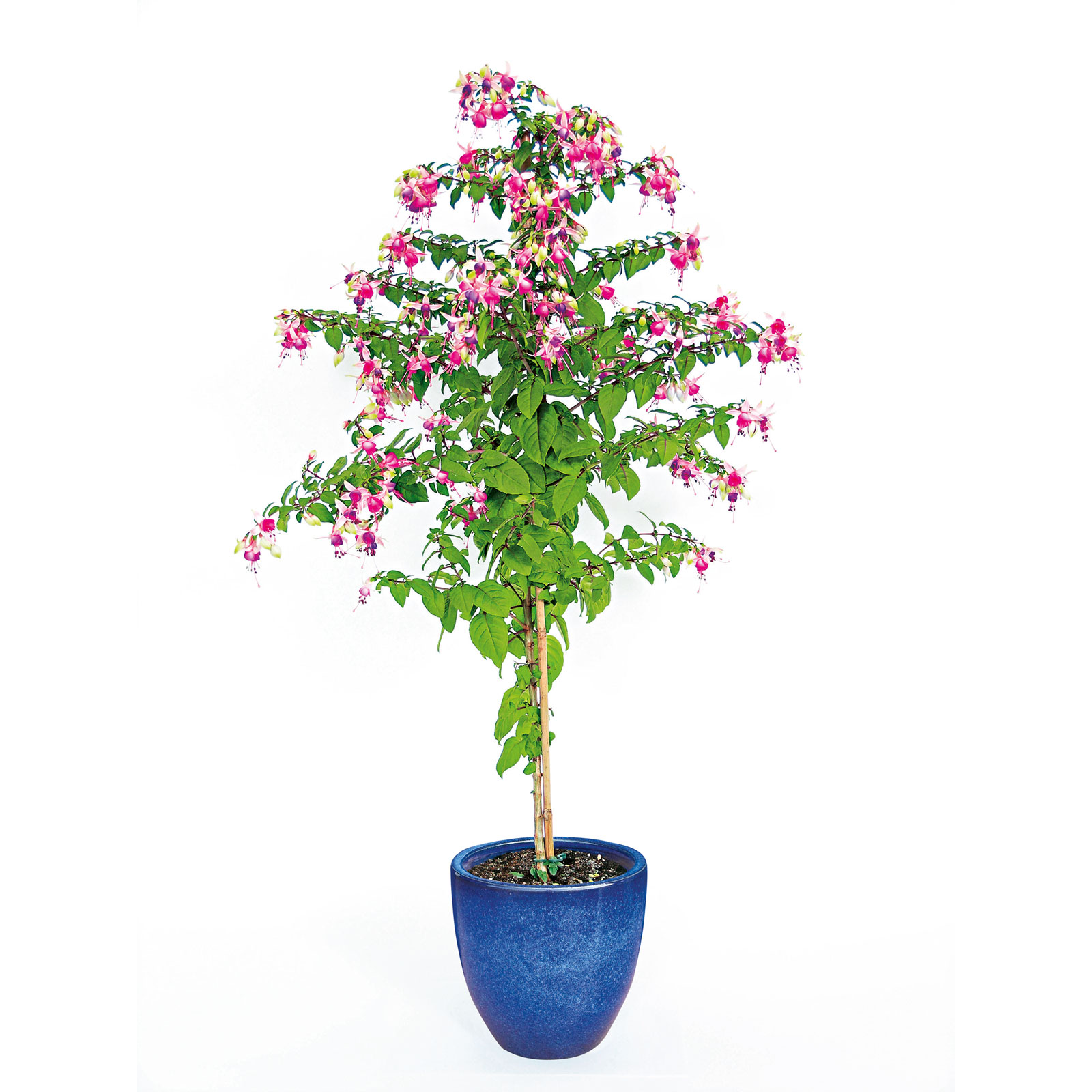 Haveson Pflanztopf Bern II Durchmesser 21 x 20 cm blau glasiert Bild 2