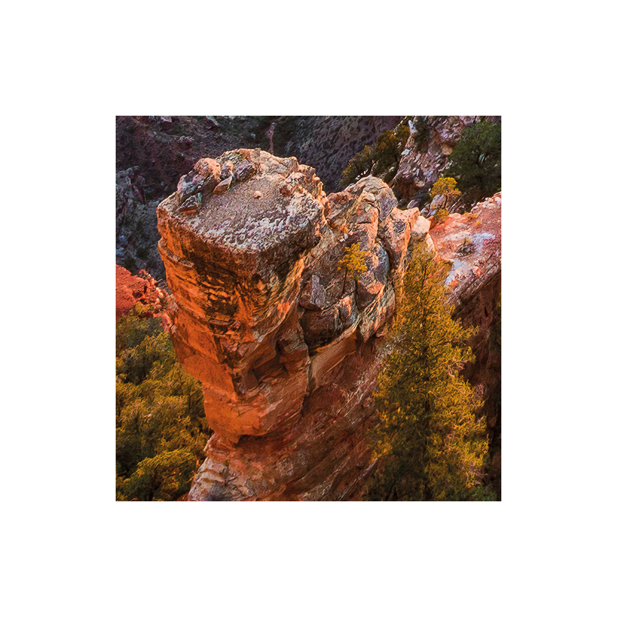 Komar  Vlies Fototapete Imperial View 450x280 cm Bild 4