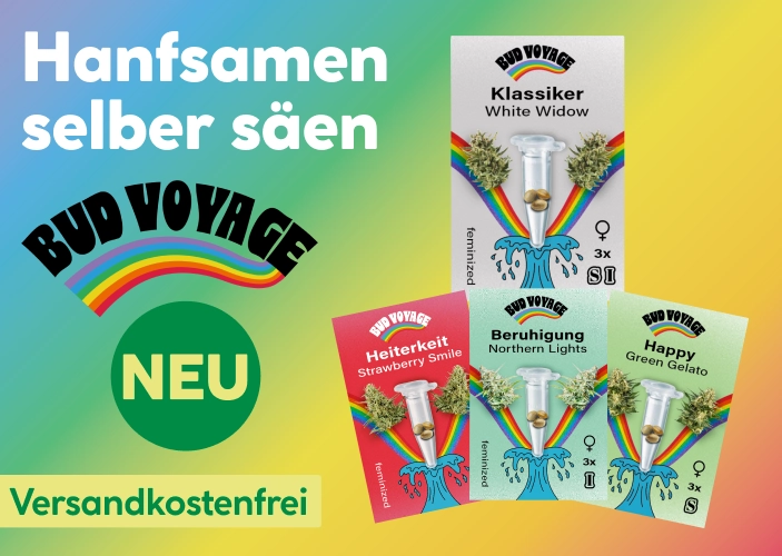 Hanfsamen selber säen: Bud Voyage NEU - Versandkostenfrei