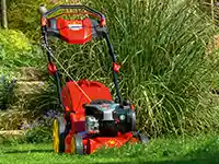 Ein roter Rasenmäher steht auf einem grünen Rasen vor hohen Gräsern.