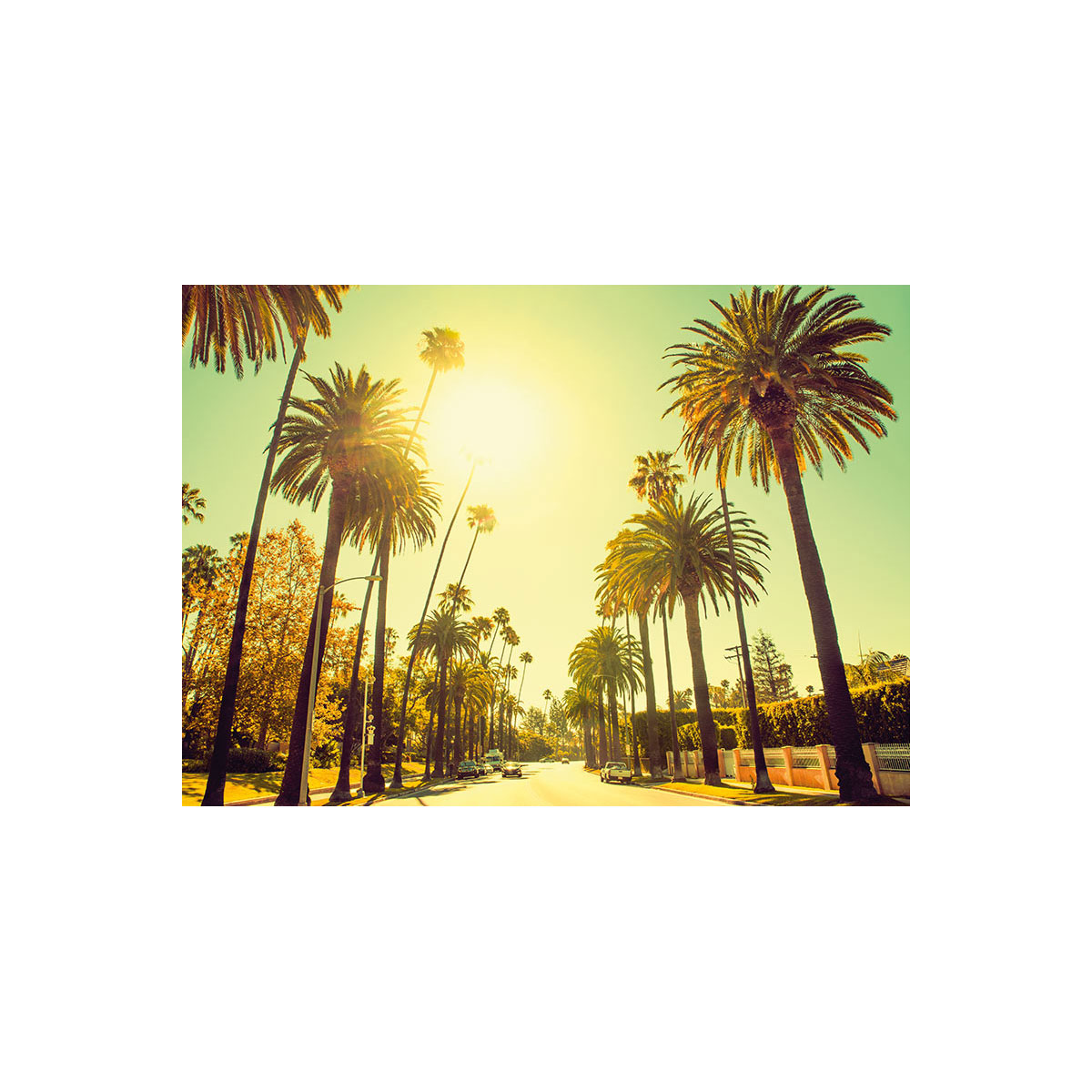 Komar  Wandbild Palm Alley 50x40 cm Bild 2