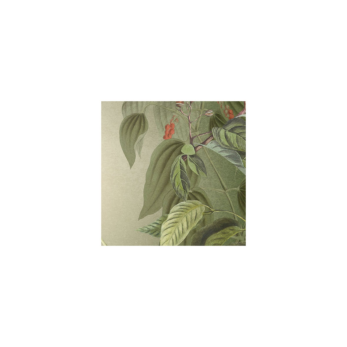 Komar  Vlies Fototapete Wildlife Birds 200x250 cm Bild 7