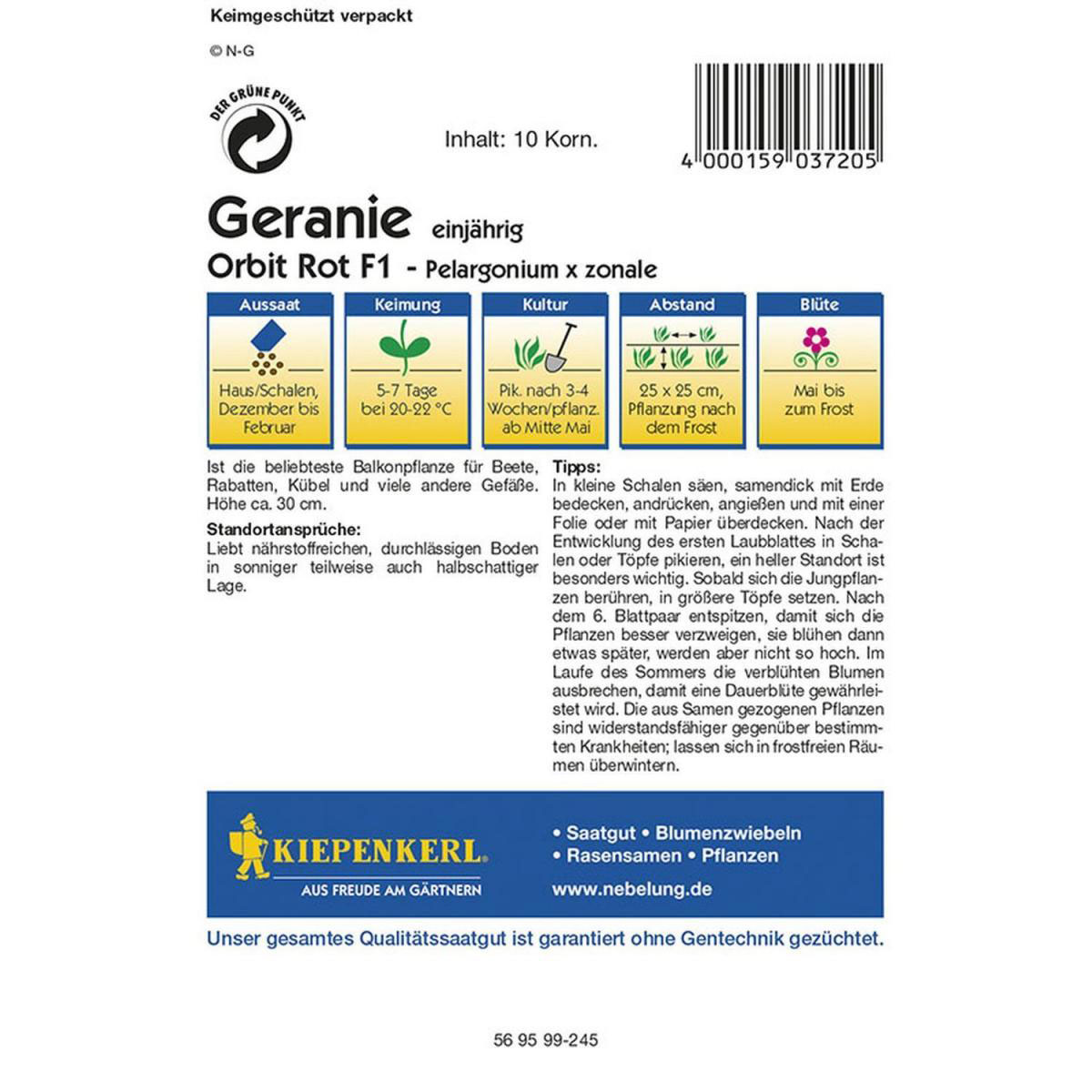 Kiepenkerl Geranien rot F1 Profi-Line Bild 2