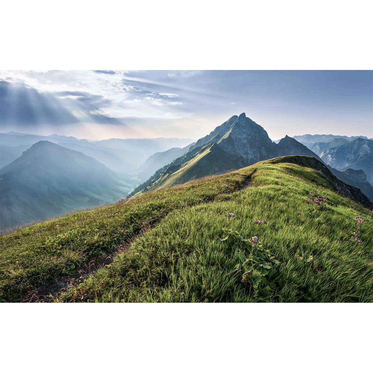 Komar  Vlies Fototapete Green Vein 400x250 cm Bild 2