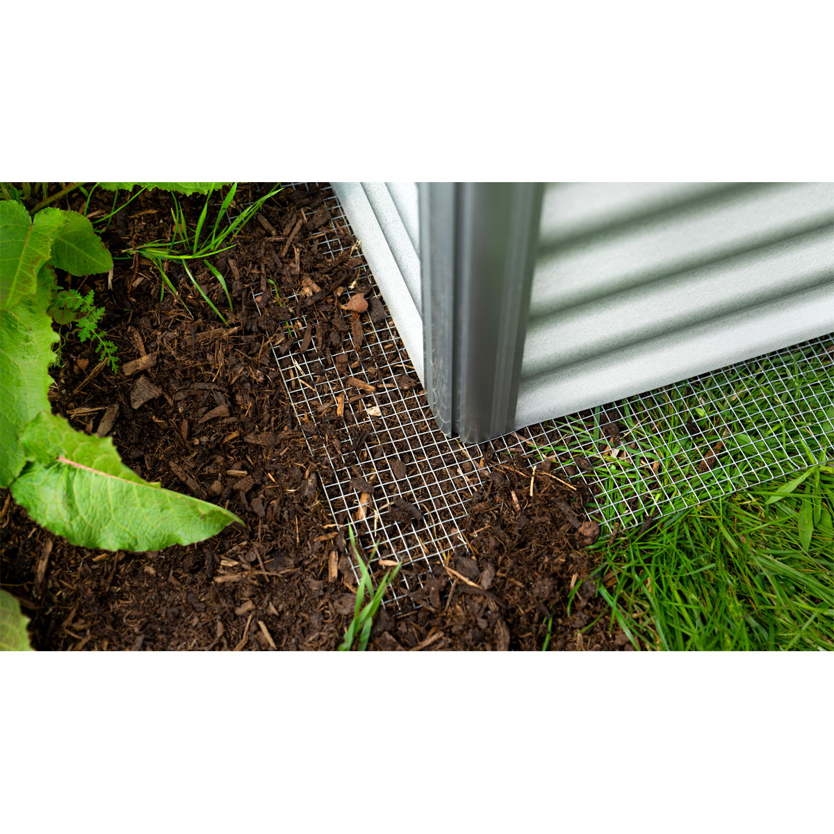 Vitavia  Drahtgeflecht Draneo Bild 2