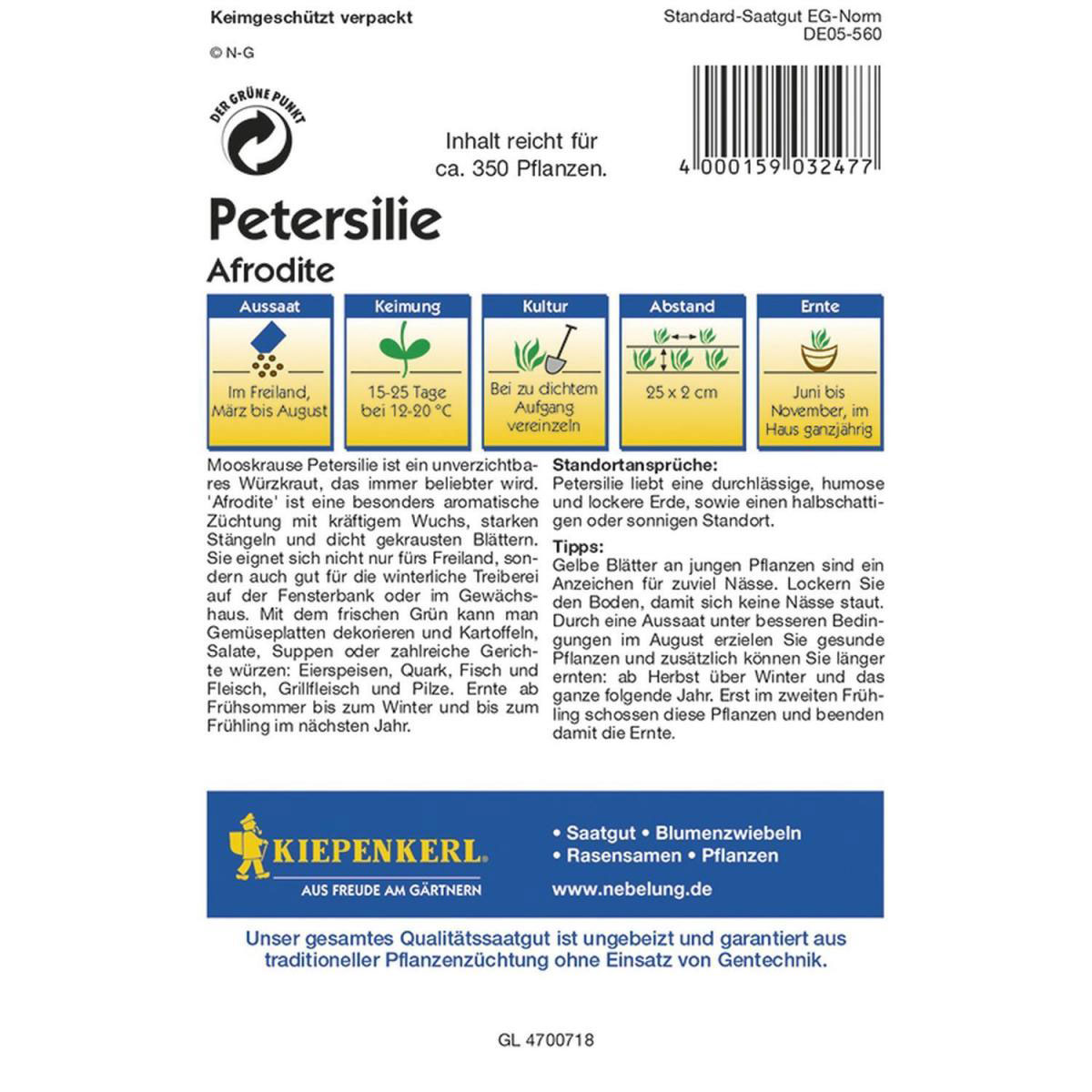 Kiepenkerl Aromapetersilie Afrodite Profi-Line Bild 3