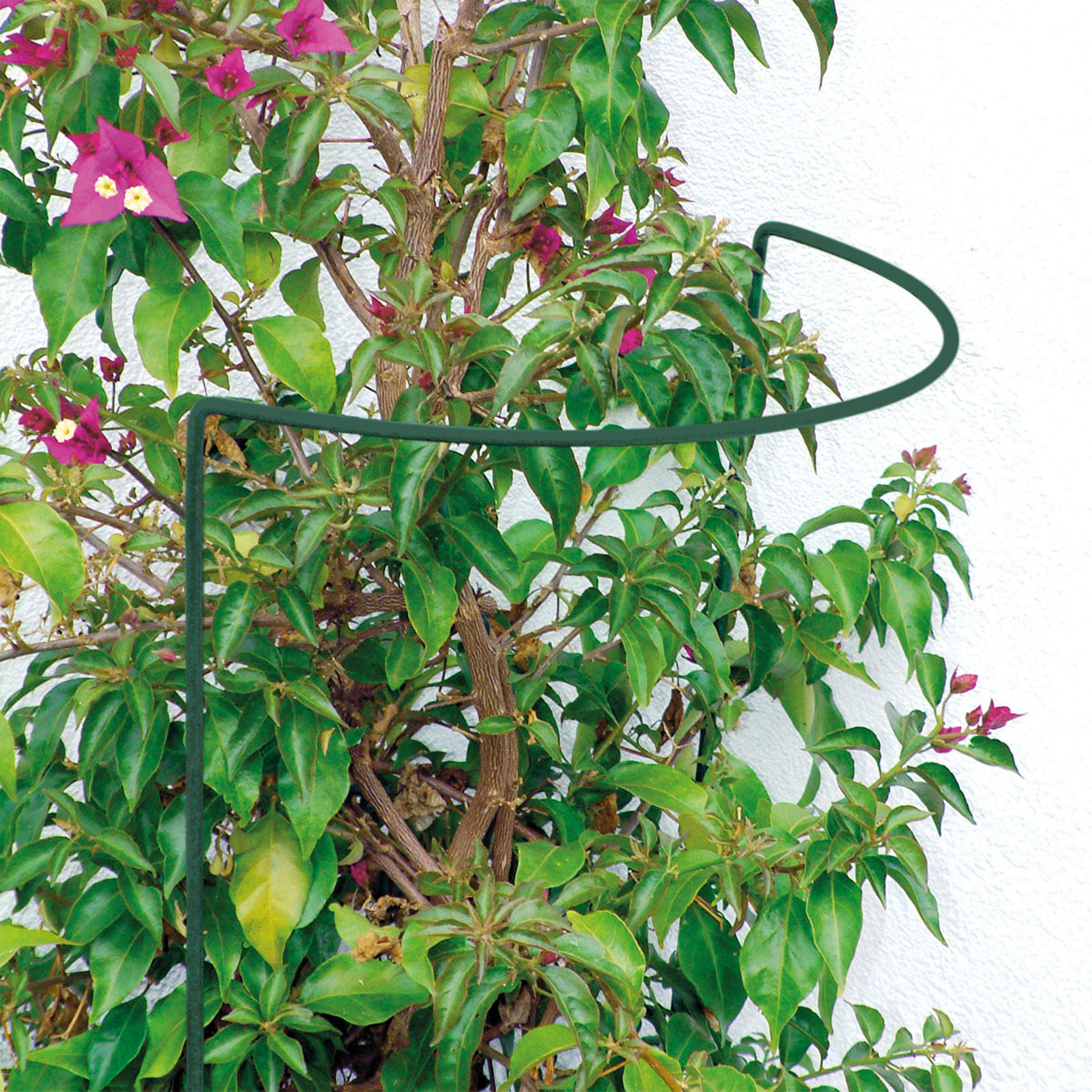 Staudenstütze 40 x 35 cm