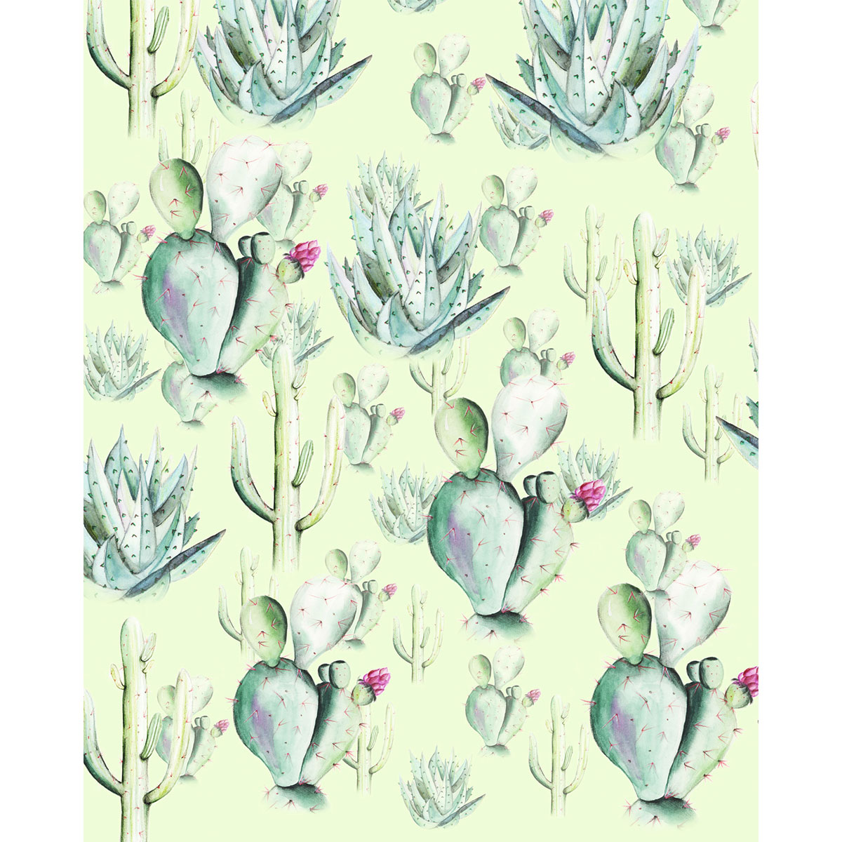 Komar  Vlies Fototapete Cactus Green 200x250 cm Bild 2