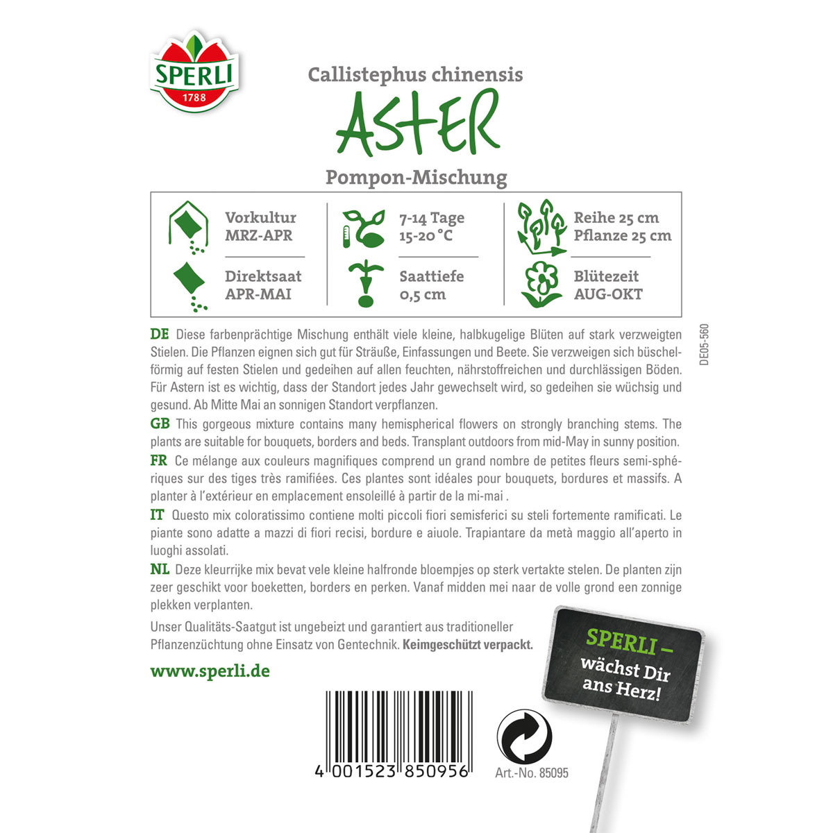 Sperli Astern Pompon Mischung Bild 2