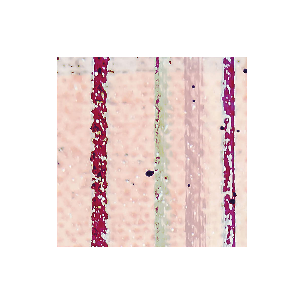 Komar  Vlies Fototapete Horizon Blazing 500x280 cm Bild 6