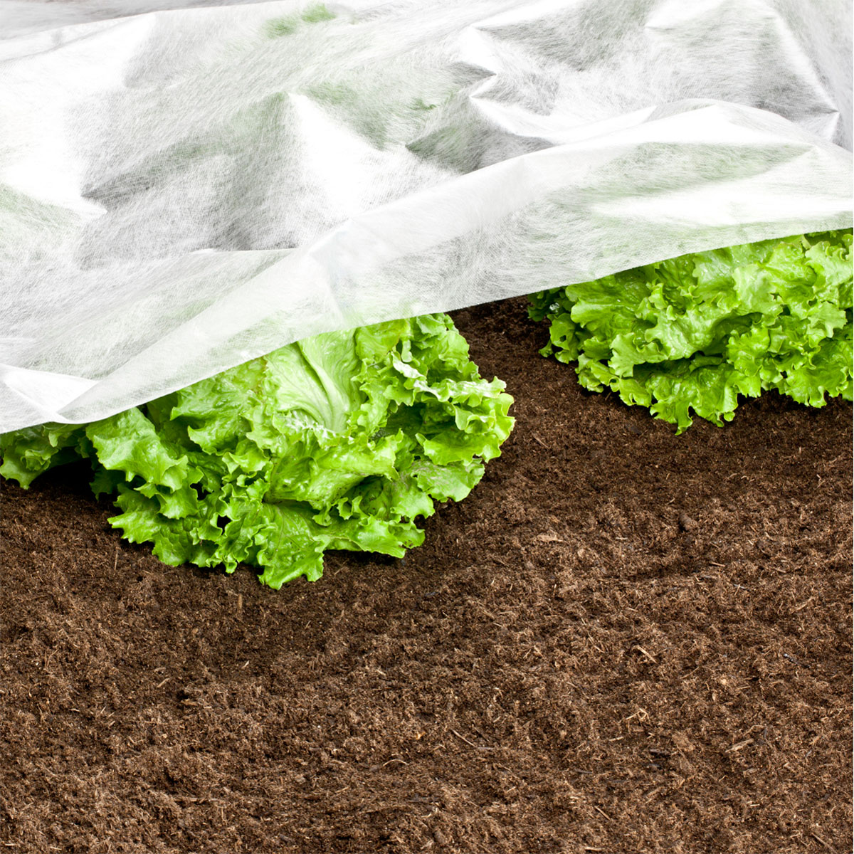 Windhager  Garten-Vlies 10x1,5 m weiß Bild 3