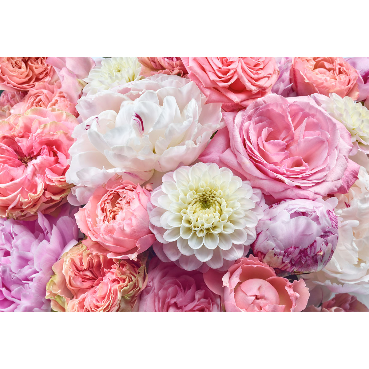 Komar  Papier Fototapete Vibrant Spring 368x254 cm Bild 2