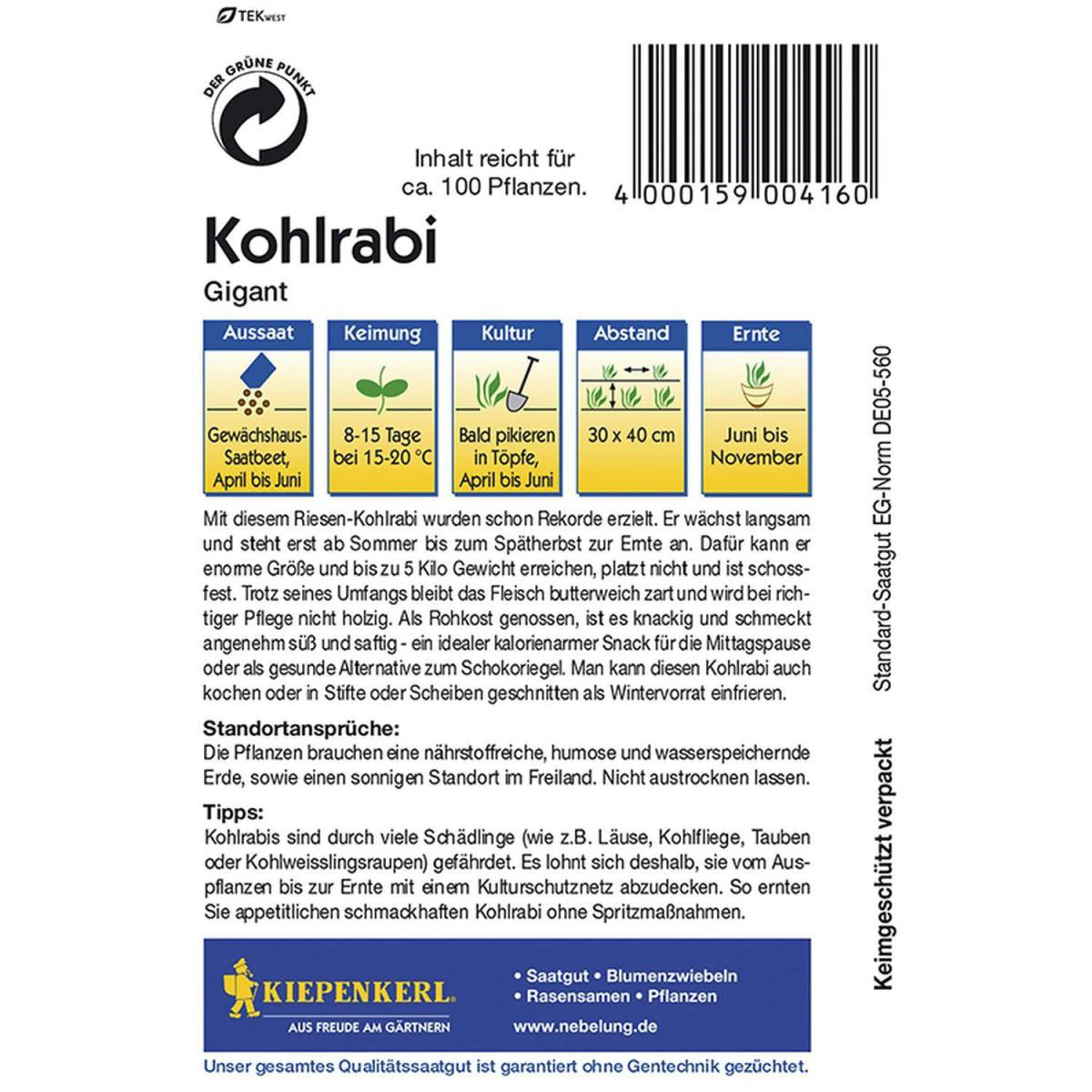 Kiepenkerl Kohlrabi Gigant Bild 2