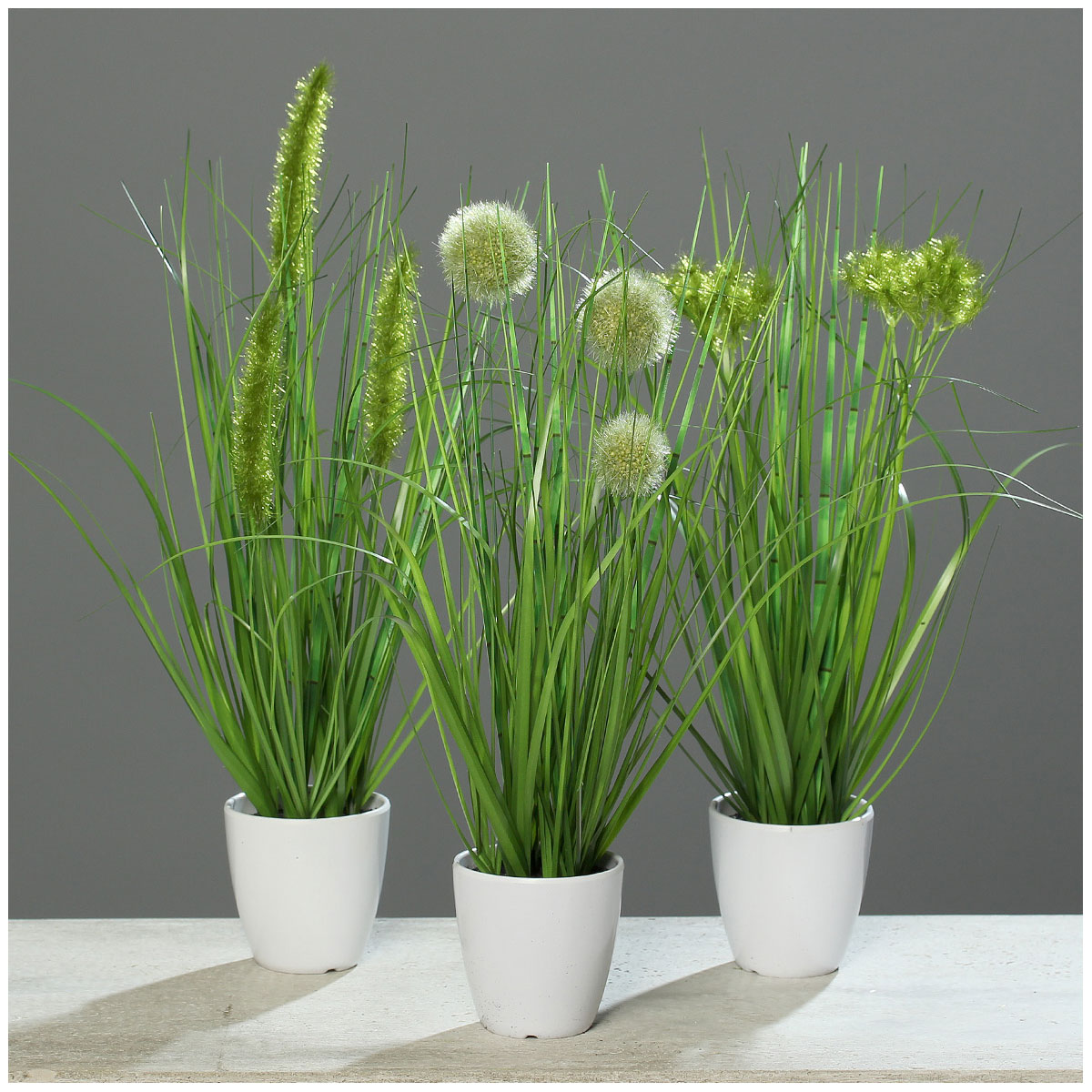 Grassortiment im Topf 36 cm green