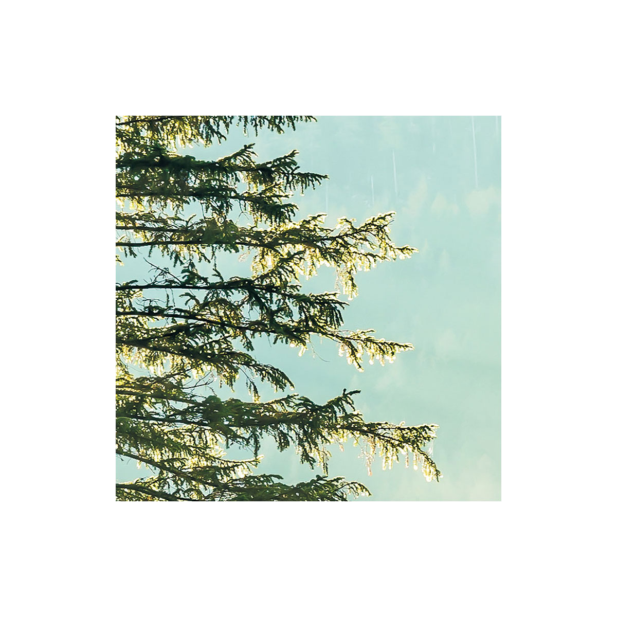 Komar  Vlies Fototapete Indulgence of Beauty 200x250 cm Bild 4