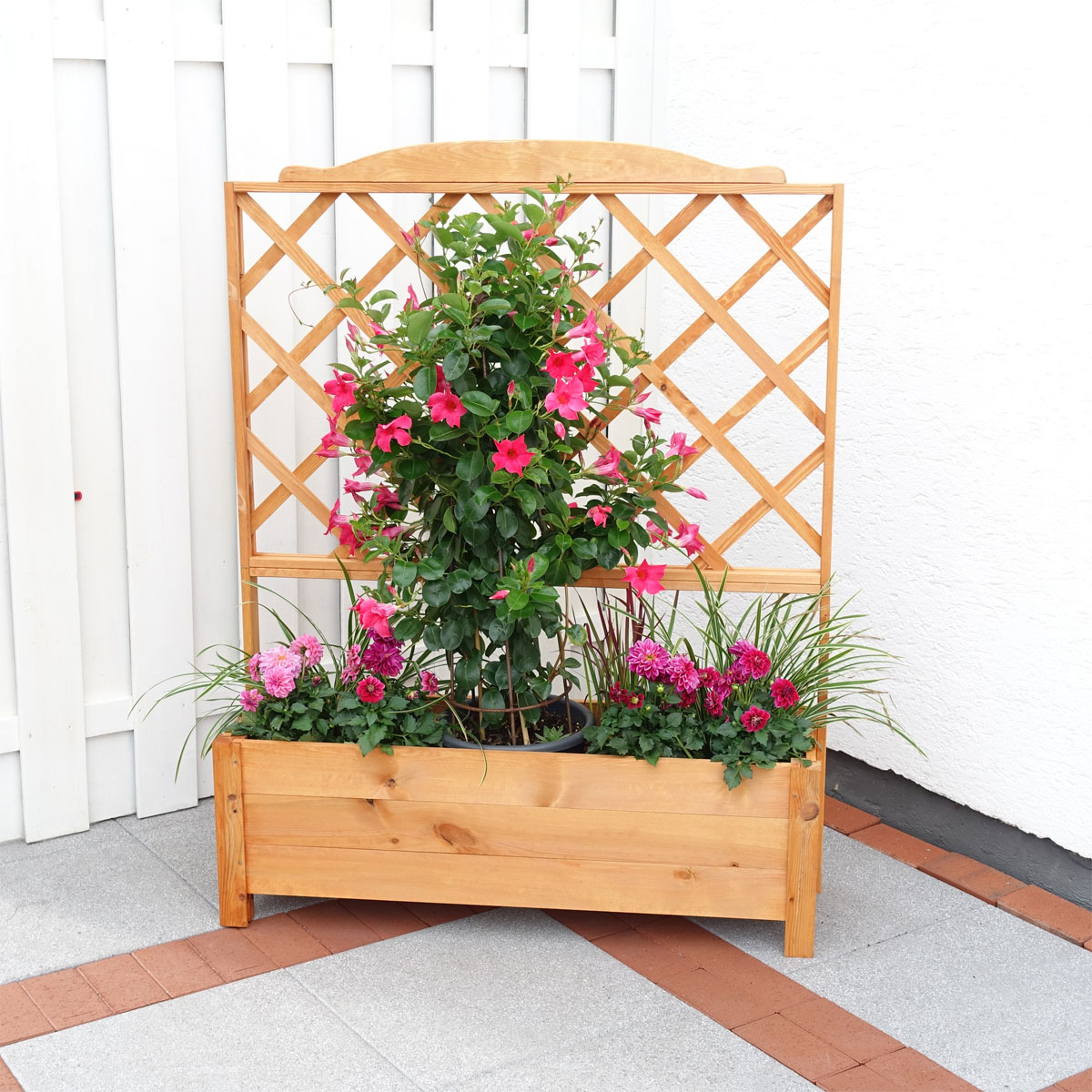 Promadino Rankkasten Botanica 110 x 140 cm Bild 4