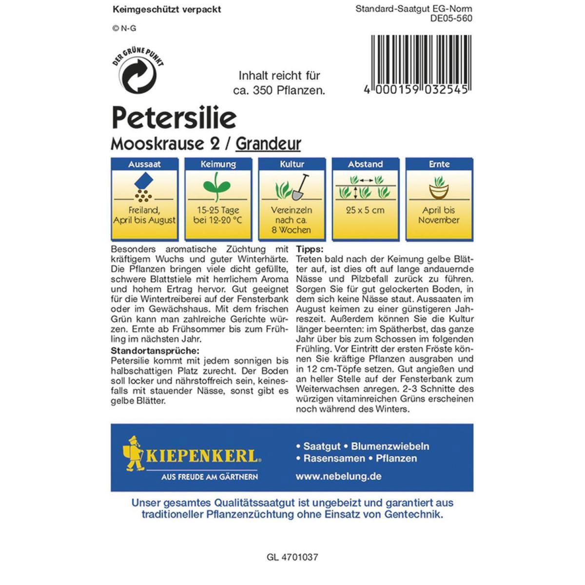 Kiepenkerl Petersilie Mooskrause 2 Grandeur Profi-Line Bild 2