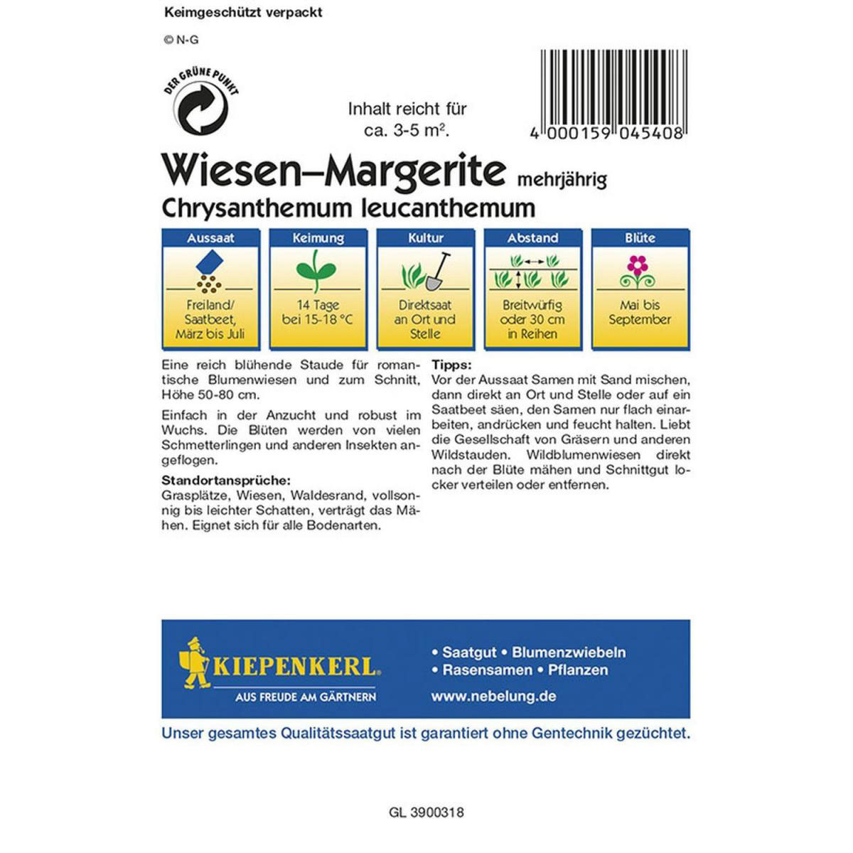 Kiepenkerl Wiesen-Margerite Profi-Line Bild 2