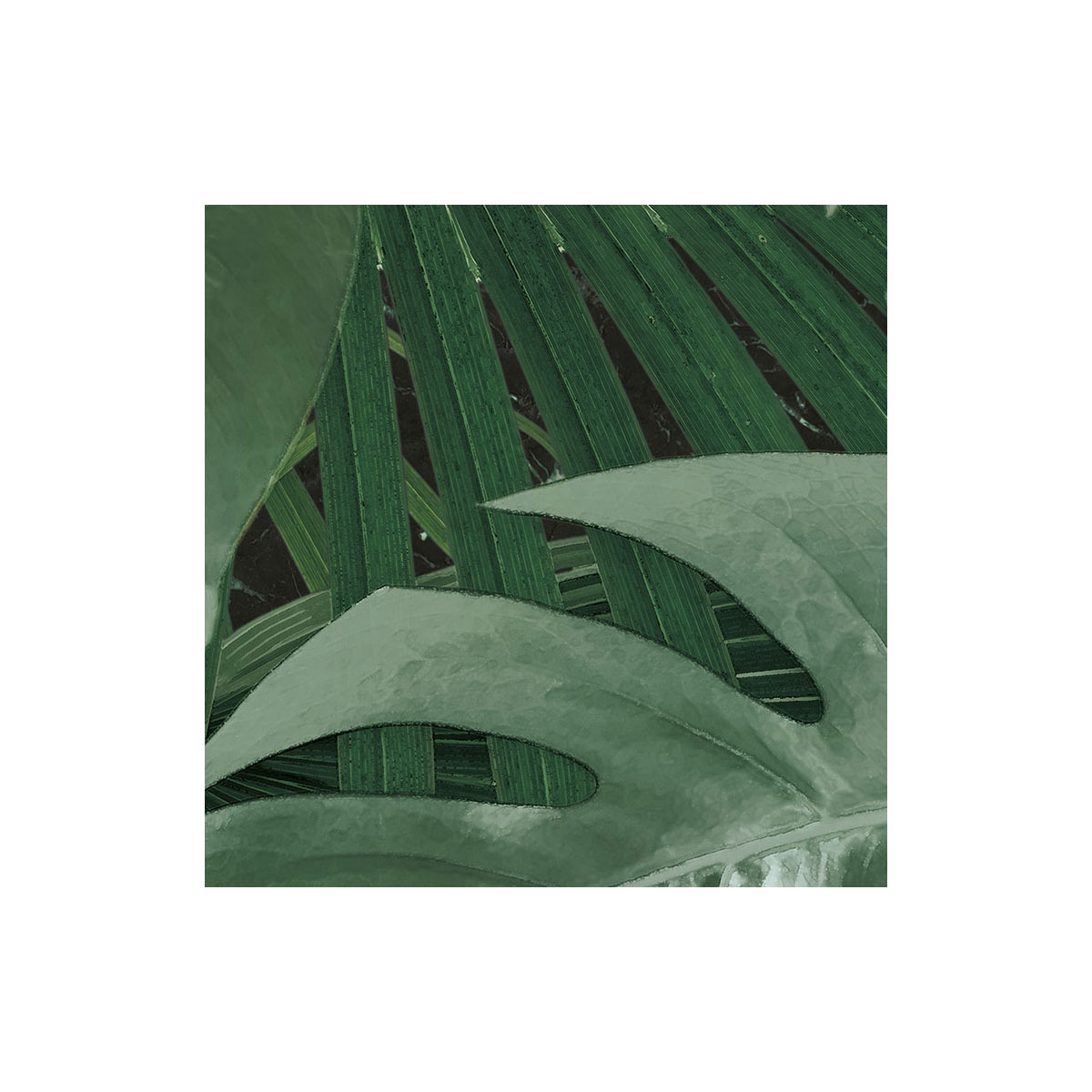 Komar  Selbstklebende Vlies Fototapete rund Novel Monstera Durchmesser 125 cm Bild 6