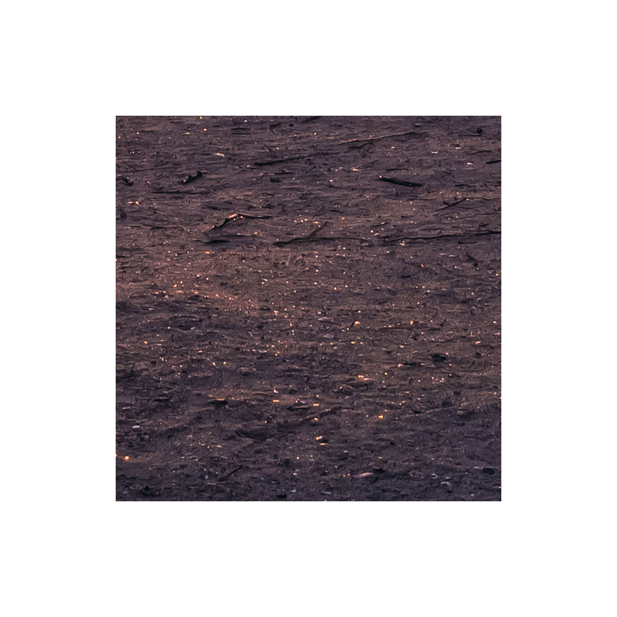 Komar  Vlies Fototapete Palmtrees on Beach 200x250 cm Bild 8