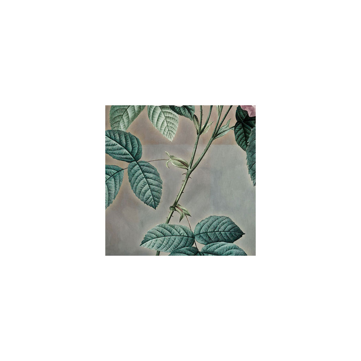 Komar  Vlies Fototapete Everlasting 350x250 cm Bild 5