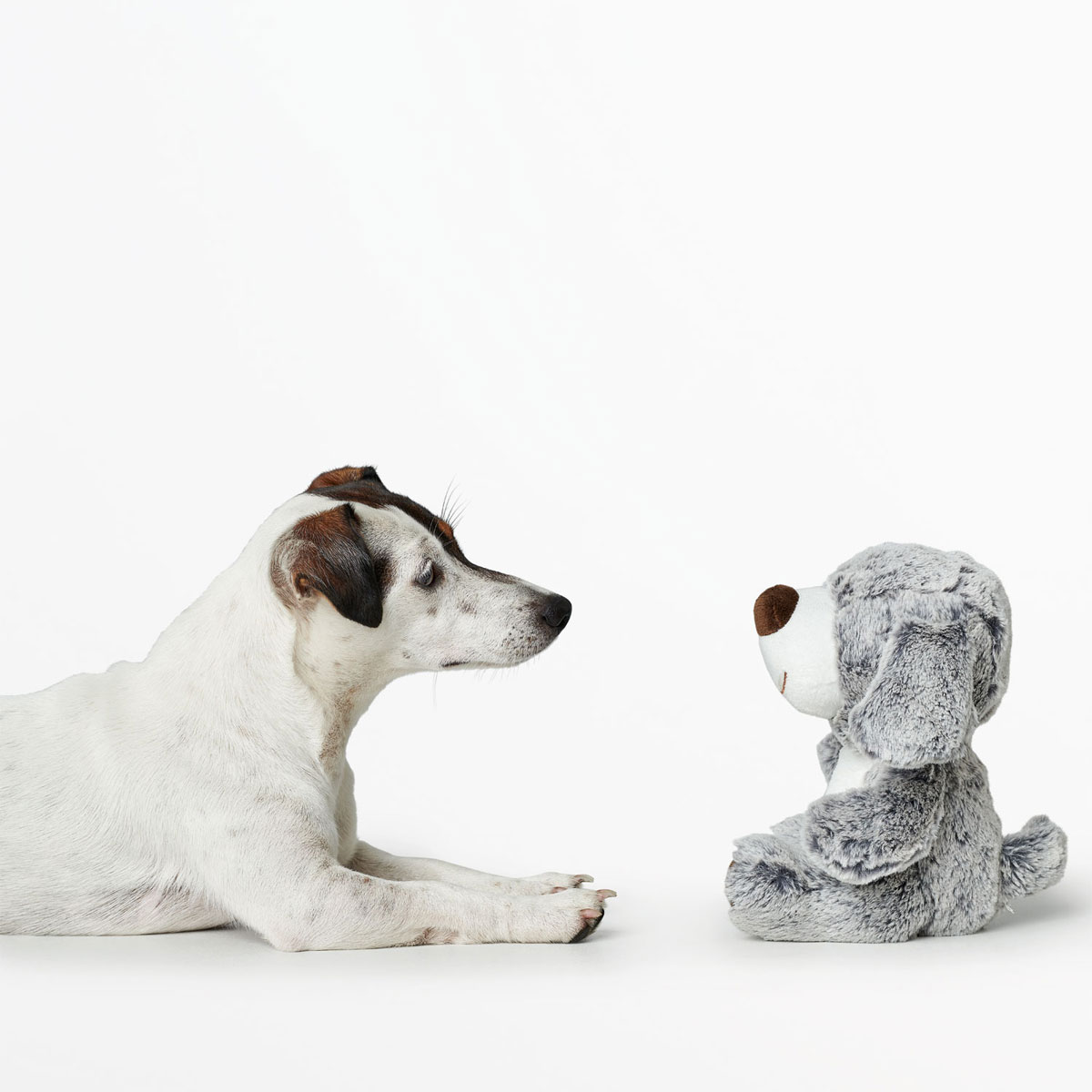 Hunter Hundespielzeug Faro Hund grau 19 cm Bild 3