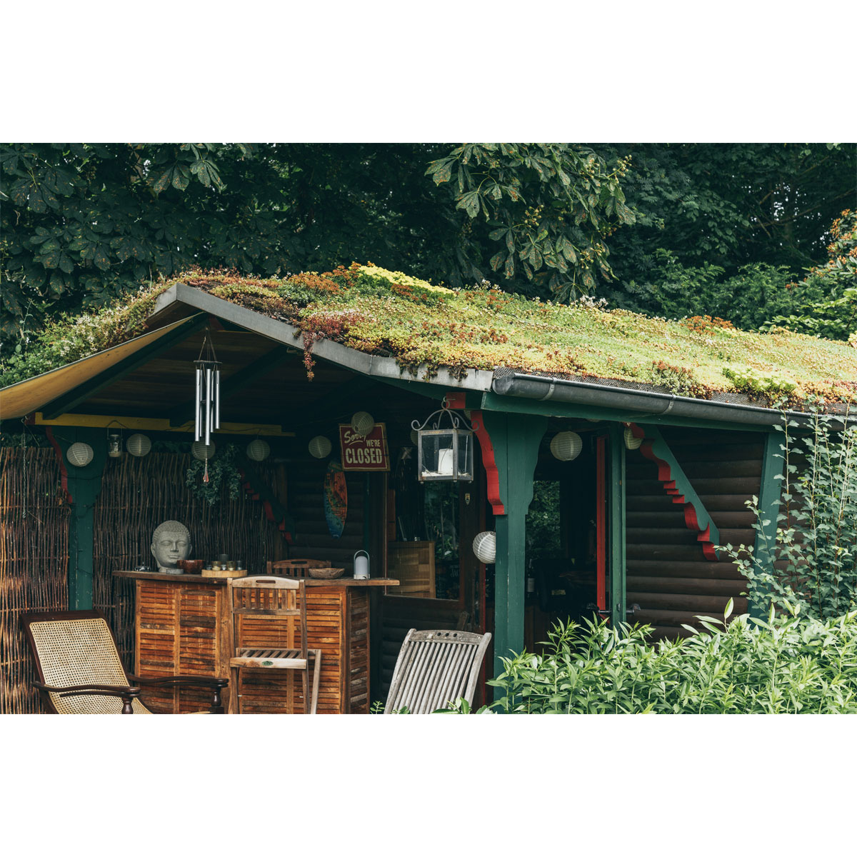 AboutGreen Dachbegrünung Roll und Go Dachneigung 5-10 Bild 3