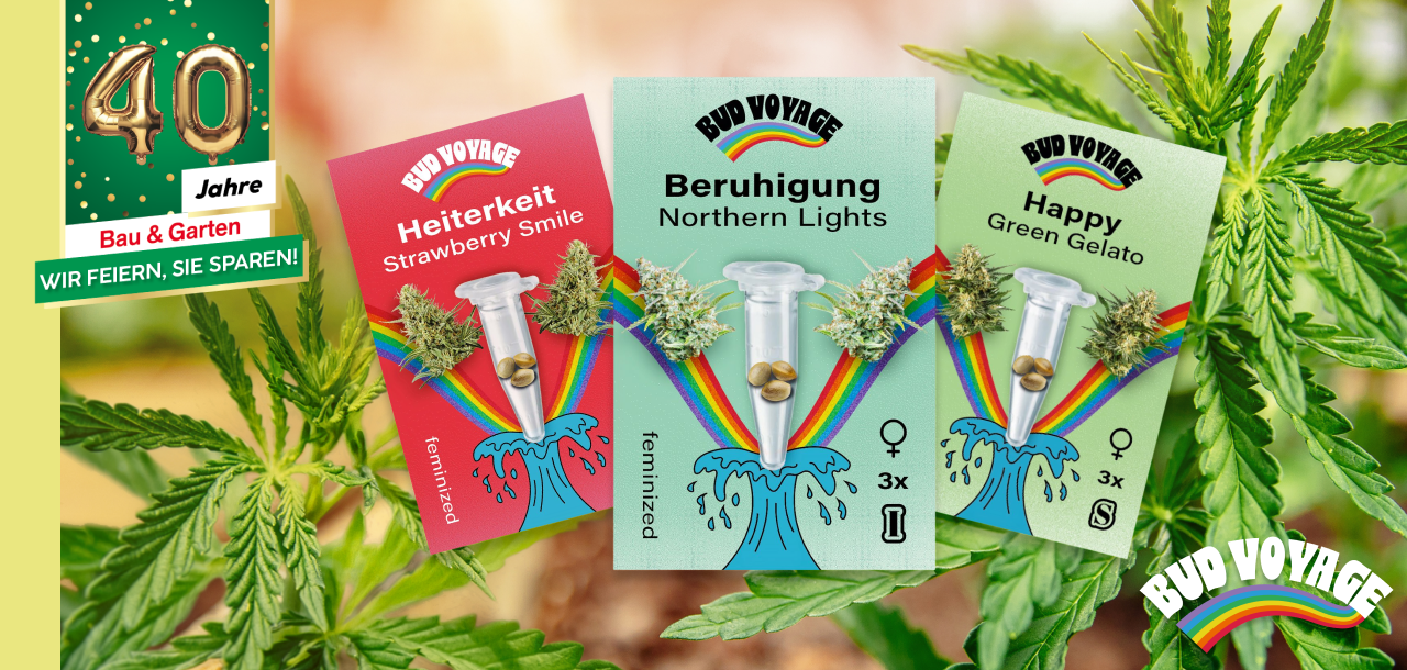 Bud Voyage: Hanfsamen