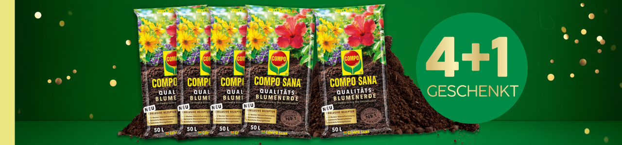 4+1 Aktion Blumenerde