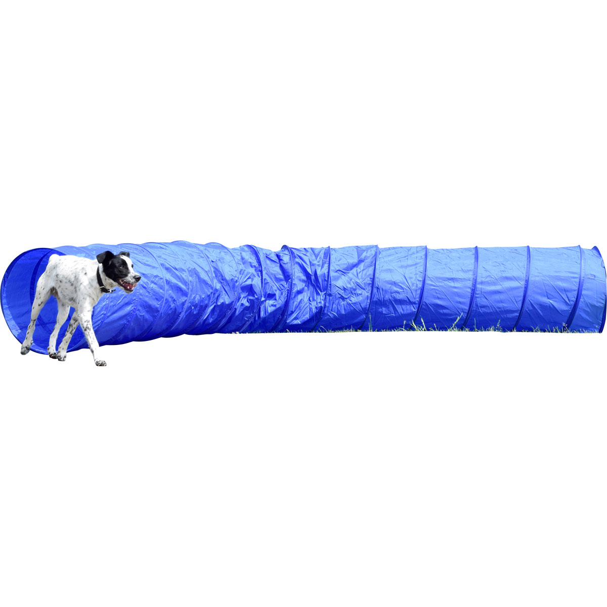 dobar Agility-Tunnel 60 x 60 x 500 blau