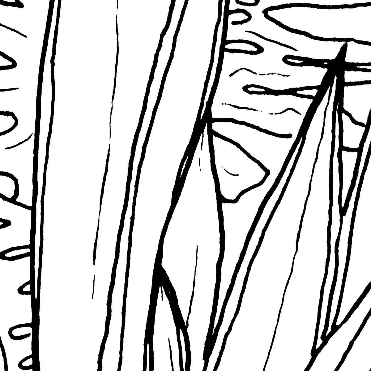 Komar  Vlies Fototapete Blanca 400x280 cm Bild 8