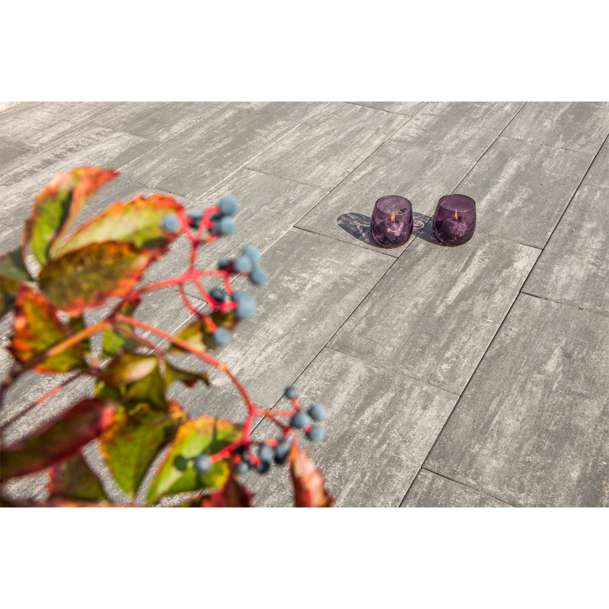 Diephaus  Terrassenplatte No 1 Parasol Quarzit 80 x 40 x 5 cm