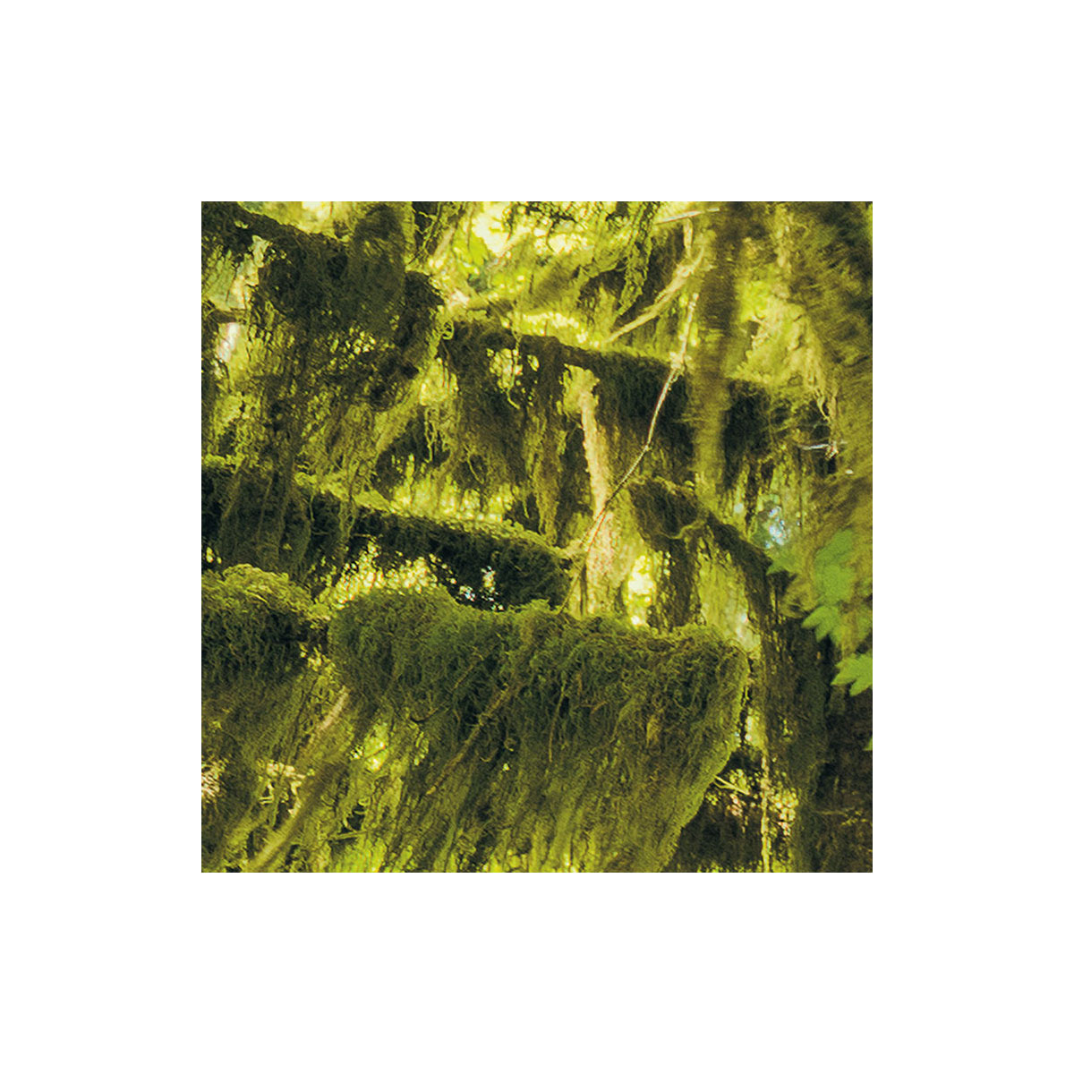 Komar  Vlies Fototapete Ancient World 400x250 cm Bild 4