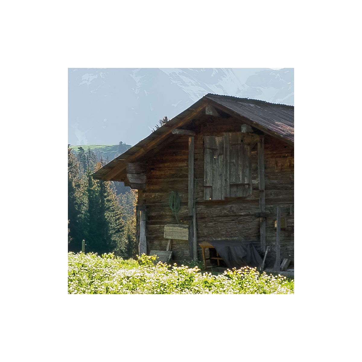 Komar  Vlies Fototapete Alpenglück 400x280 cm Bild 4