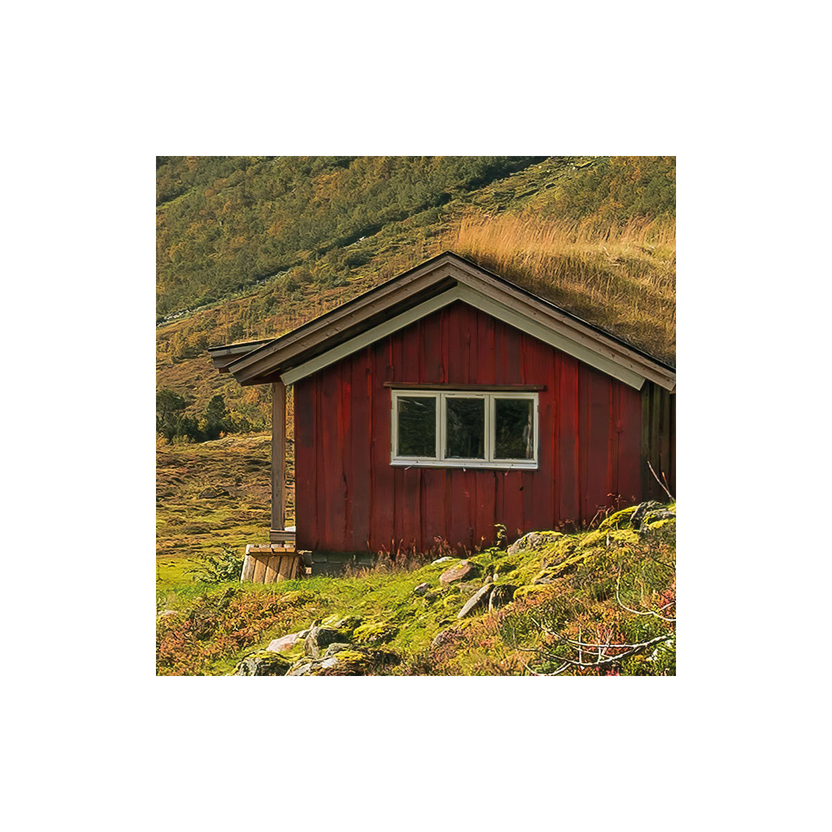 Komar  Vlies Fototapete Pure Norway 450x280 cm Bild 3