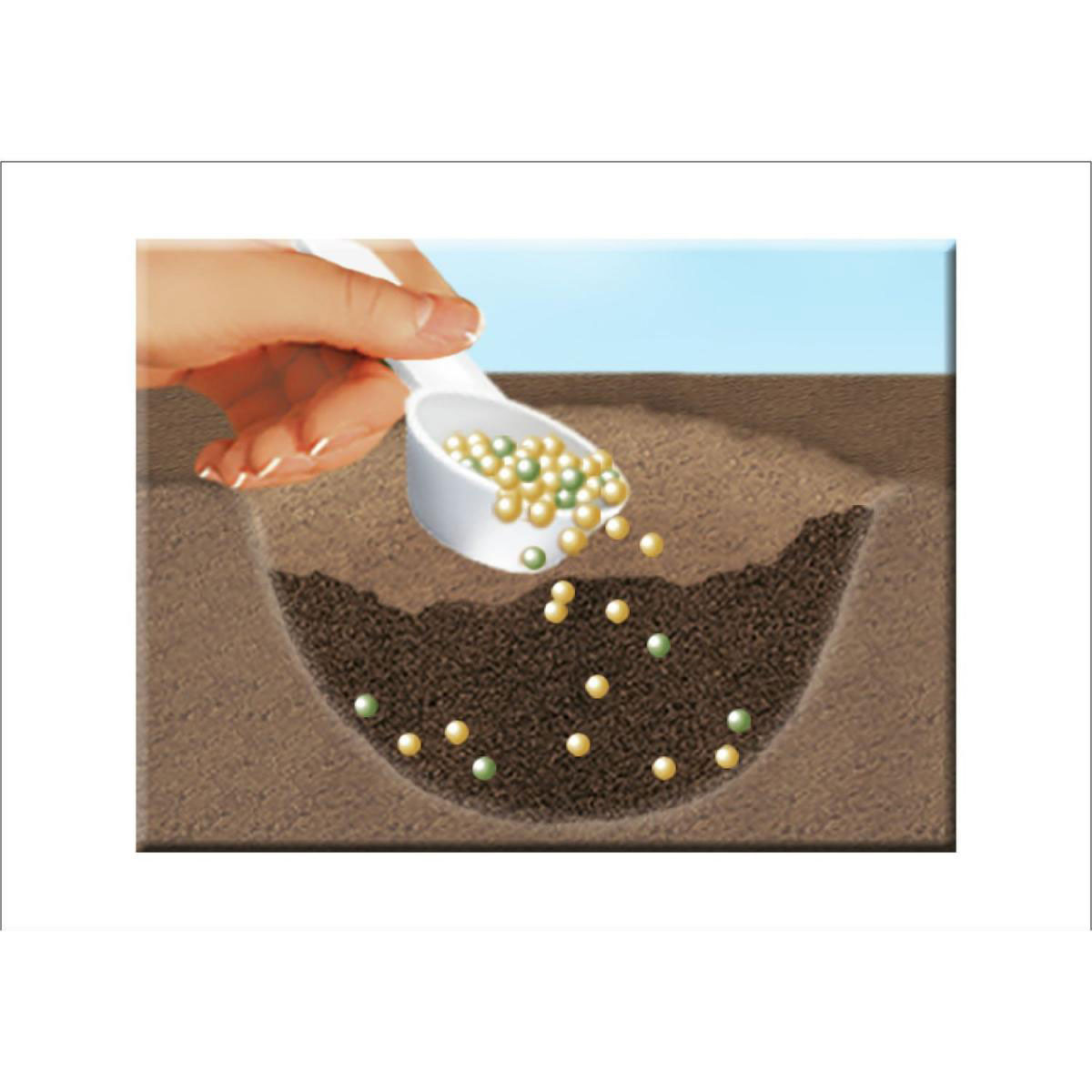 Compo 5in1 Pflanz-Dünger und mehr 1,5 kg Bild 5