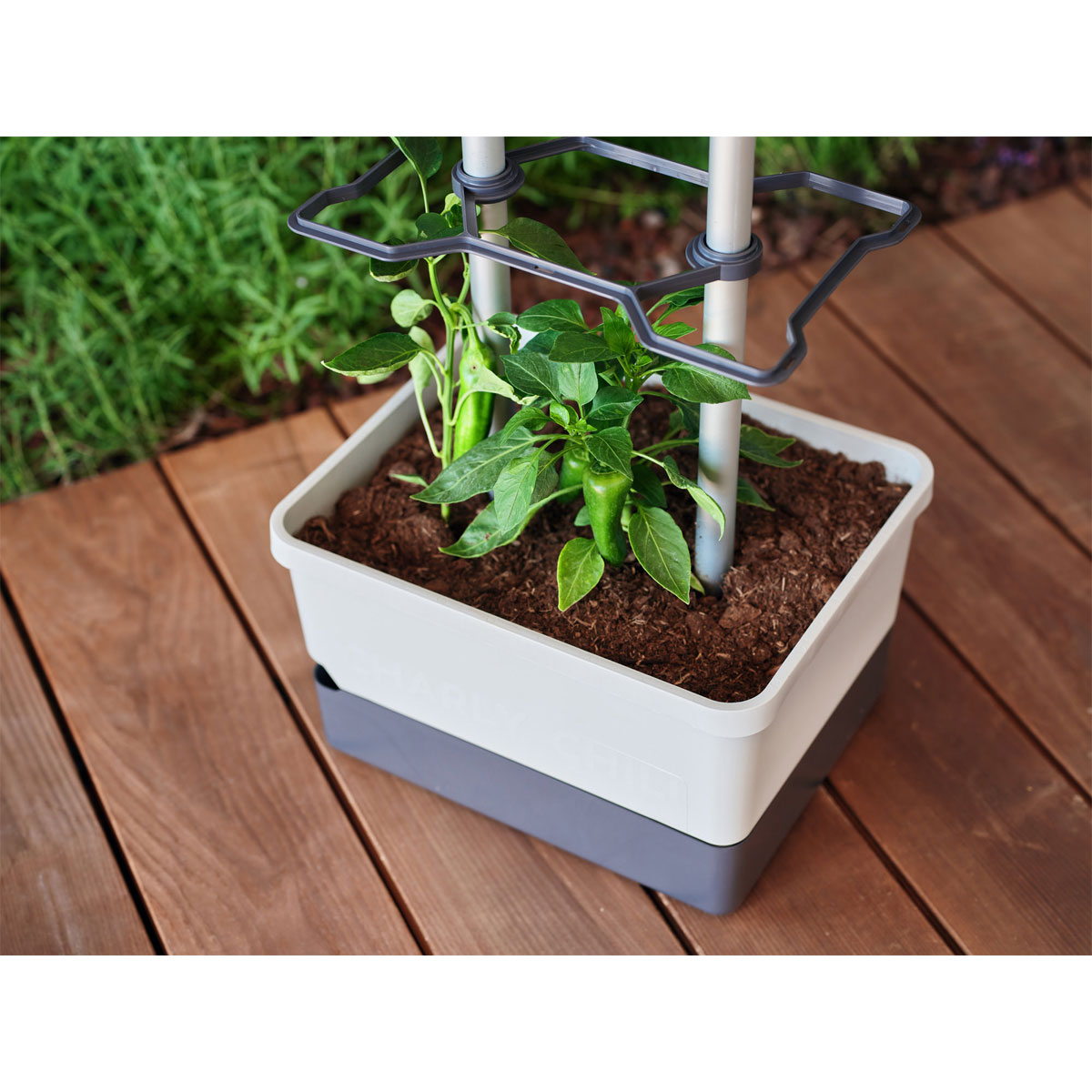 Rankhilfe Charly Chily hellgrau Bild 1