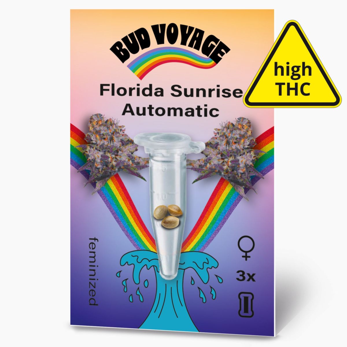 Hanfsamen Florida Sunrise Auto