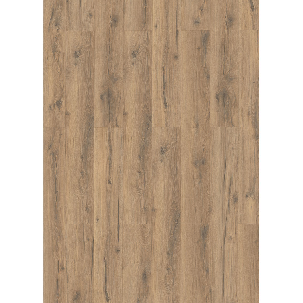 Designboden HydroClick Taupeiche Bild 2