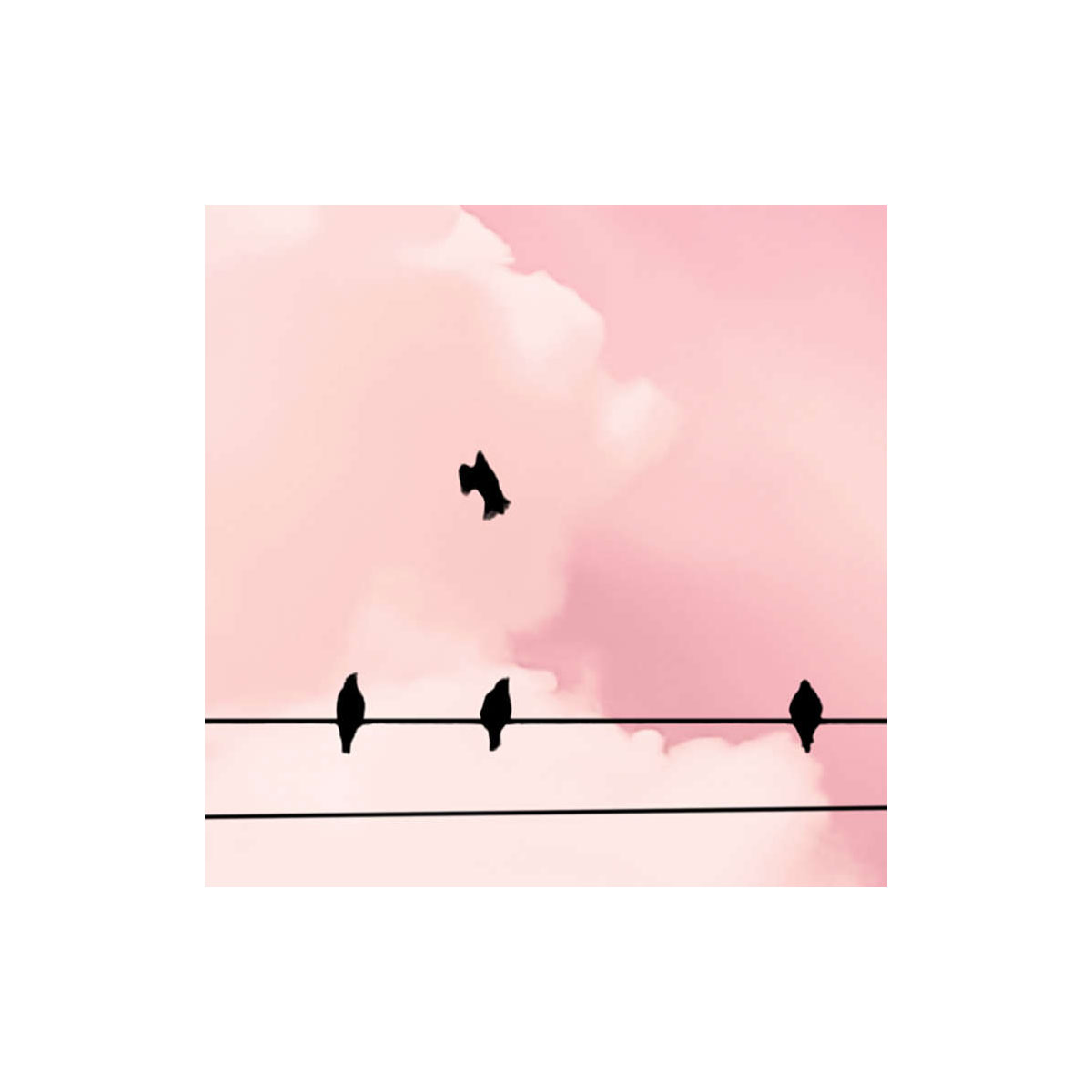 Komar  Vlies Fototapete Cloud Wire 400x250 cm Bild 8