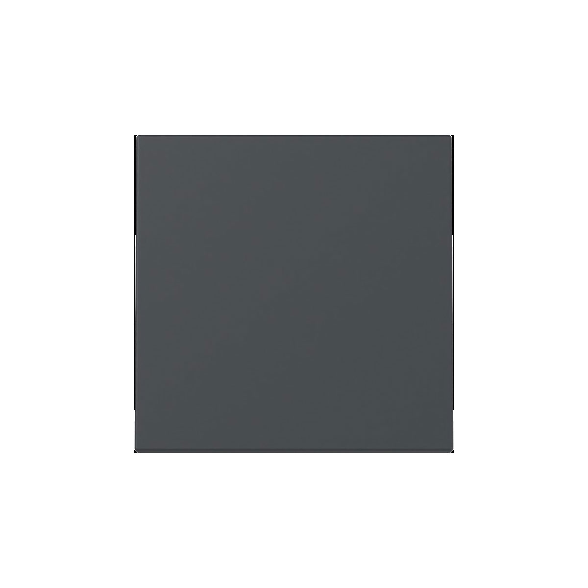 Gira  Wippe System 55 Anthrazit