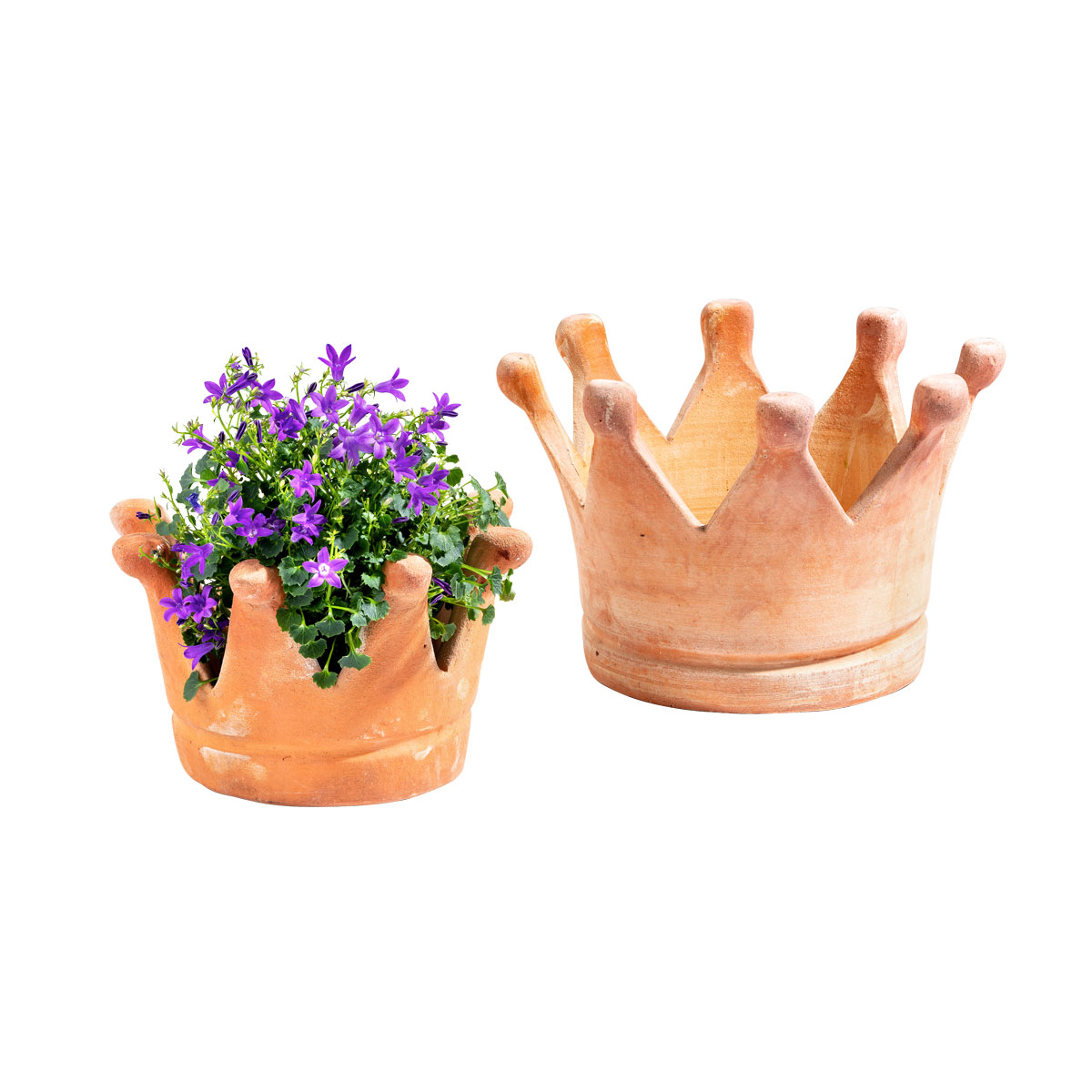 Haveson Pflanzschale Krone klein Bild 5