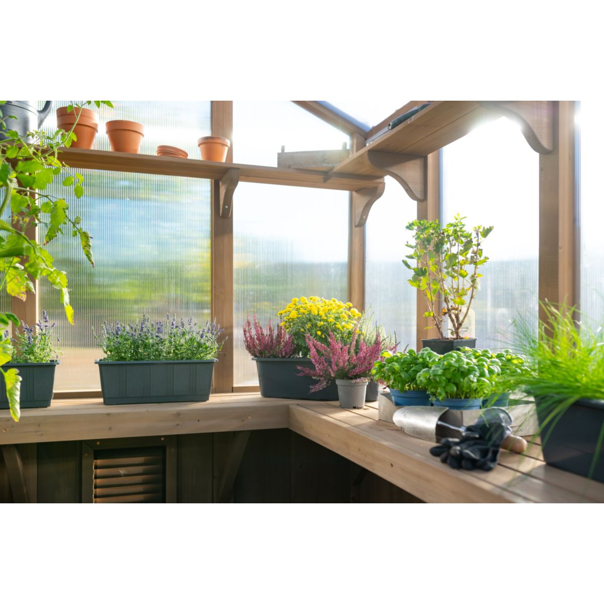 Westmann Gewächshaus Paul 238x204x236cm Bild 6