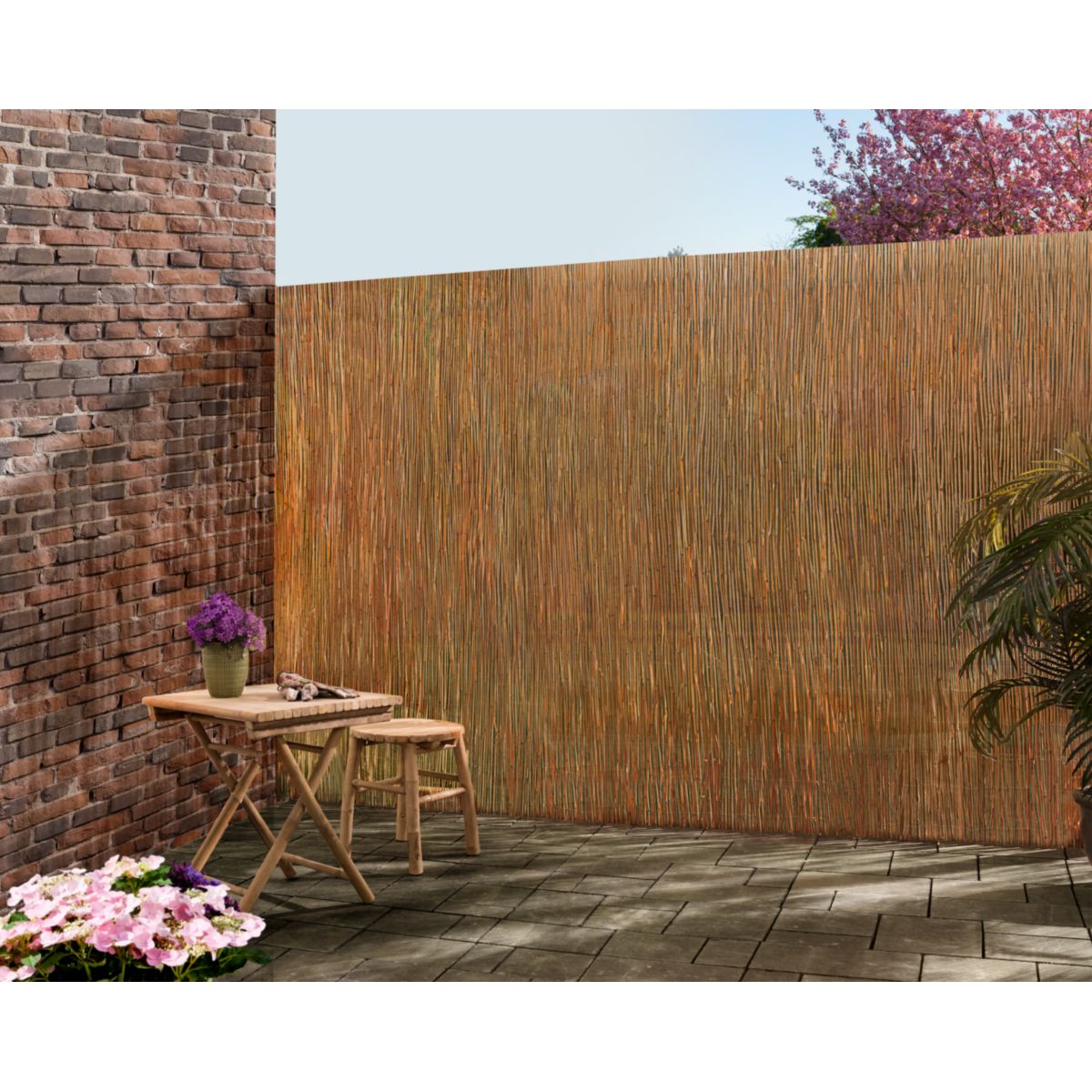 floraworld Sichtschutz Schilfrohrmatte gehärtet, 3x1,8 m
