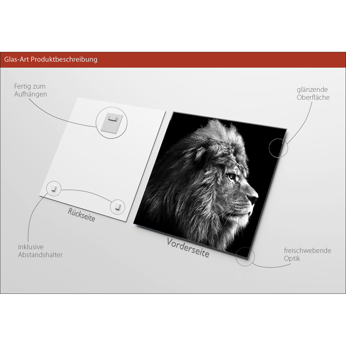 Glas-Art Grey Lion Head 20 x 20 Glasbild Bild 3