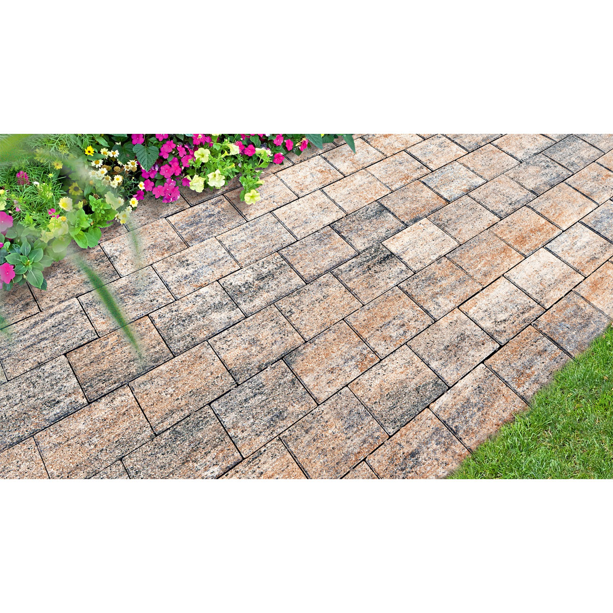 Pflasterstein „Gentle“, Muschelkalk, 20x15x5cm Bild 2