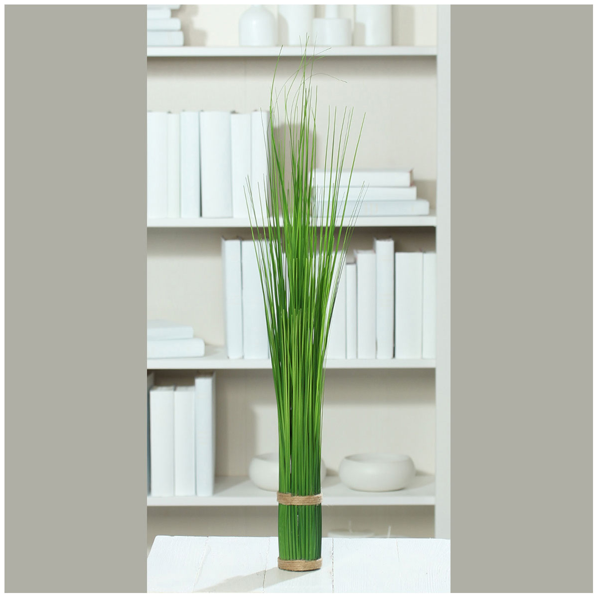 Stehgras-Bündel 60 cm