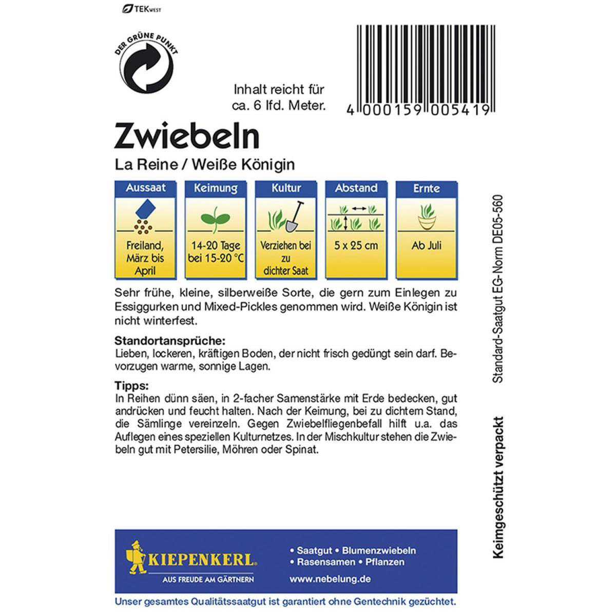 Kiepenkerl Zwiebeln La Reine Bild 2