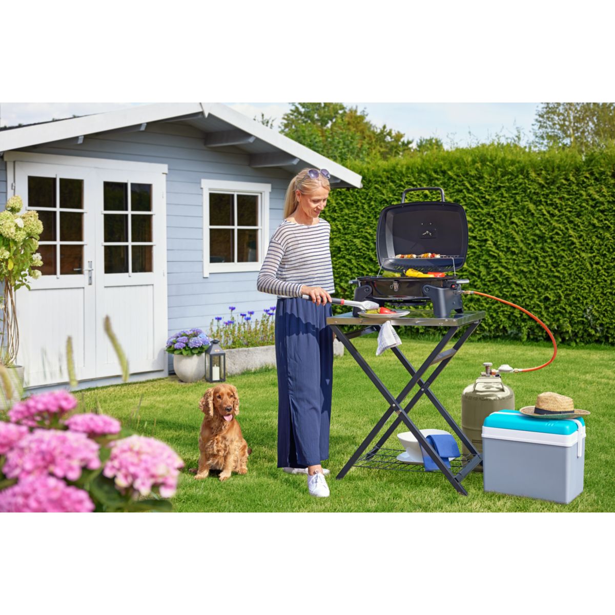 Rothmann Gasgrill Phoenix Bild 5